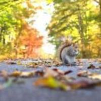 4b6e45cad97e04e52779932e9a98c476e4f8097b