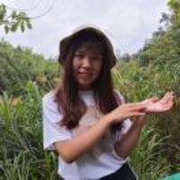 E6b177578b02fc6860011b42ecf3f5b44c634851