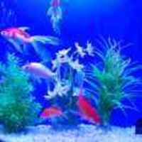 8a87ec23872dda65d7daf31d2962555f899920df