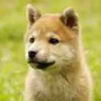 Bb321c52eebf2ae74b1adb8ee60d649f354b3063