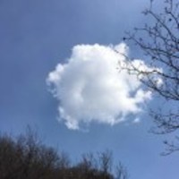 27d3d1993f6e34a88596c3b5cf70220acf801cff