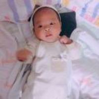 8f0eba8f9f75306f851d4677e4fc7ade77f3bfe3