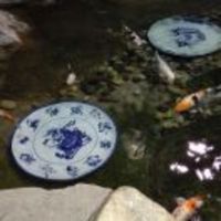 952131aae5214b595ab8497970f0cb09f57c2570