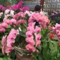 C09cca148507ddfcff19694f8e3a6374cf4be79e