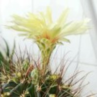 Bb71887b09f2b0f0ad466e9be70db4d161f3987e