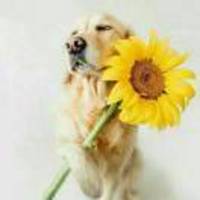 12672182bbfcf11a9e3878dc85695dedf8ff80ca