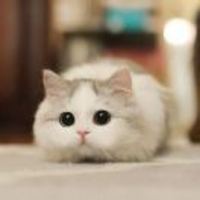 B68bd2534f385d242c96a4d5f5fa6b98c2eb0079