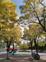 Bc902acb109bfbc9d60c2eb6eb83541a9dd209f9