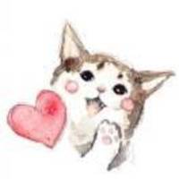 Daf50385a17e54ea05b8ebdf19c231c712d13579