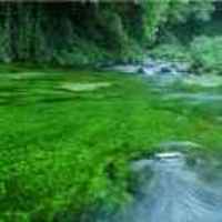 8ba48985befeb511262c0a678ade43b9bf53a1c9