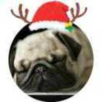 A85e61b1c422f1ea8b4a2c32860a2536ce08b286