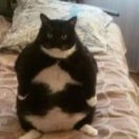 58f77af292ddfc35a1c57f92998bb207f125f2ab