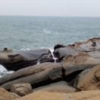 17f76b5c5b8e148e15737916ab03316d605220c0