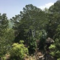 B5428514718c895fe4c0fe6d8339df0de9b01d1d