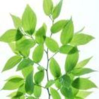 0e38fb4018106ef77fa0f407fb26f268fafc98d6