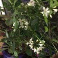 Bda01d90c6d77de9f0f67749d65bb842f35e61a9