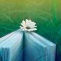 Db0b59ebb44faaa6e6c1feba92e7ad478cbbcb80