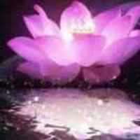 B15579457ef61551c28098c09bb0c70461d9a7ec