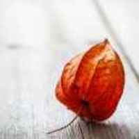 8a5b0b1144457db47d3c378125969616e03c35ea