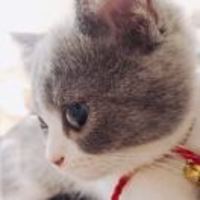 56d7b4d9e9f2fcfa264230028bcbf5f3c579c2fb