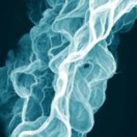 98726e6fa0aa10e91c18ffa54eb68920fedac412