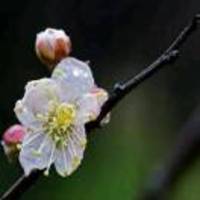 B5a12b9889cb86d1fdcd10ec699e6386aca165cc