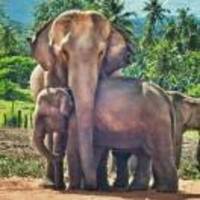 00f4ff5ff03af6ba0e03123269215e2d7e9e202a