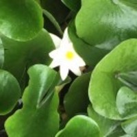 6b4a4c1212fb2edf297a7729fb8bf83d60639e13