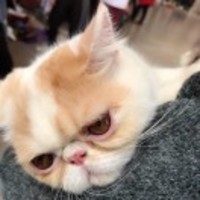 Fd413faad37e00d210ecc2d959dafd582d9f8f41