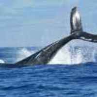 Bf933afe6287845c377f1bbebd39dd473e6e164a