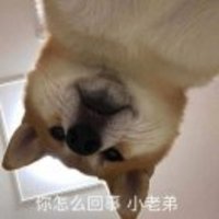 74a37aad42c08fff71cb14c24825c2146643928c