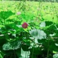 6d30d83309f85701da769f7ca42b608461a86481