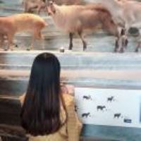 726bd52c42451b30b168d0c58f8edc2adfe05bbc