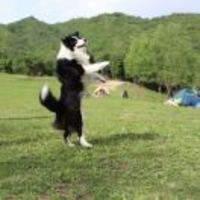 8c7e357416c1a6aa5764d7d9bb83e975b6576dae