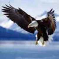 8949afbcca550a02353bda837a15a13c4bbaf94e