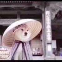 8ca1d4e1301982473d2ac0cf67ed200bb71ef721