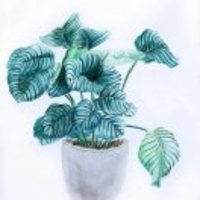 F1d82704a5bbbdbe2ef9eb022321ba599d43dd21