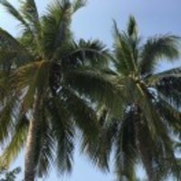 5635ce300f5d52e7aeacc2b867341df88c224baa