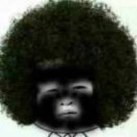 F4f3ac971eab2ca952814da4e950a4a54872f0f9