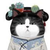 A0c915782df7d8e407b828585b084e2b4de2cc36