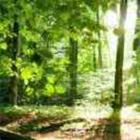 60a134da57c915e58822515103720ded83fa4c54