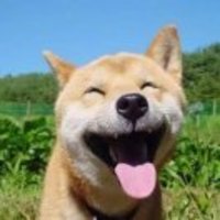 622b0a32c3a904f7ca5e7b0bf63f8a1b280da061