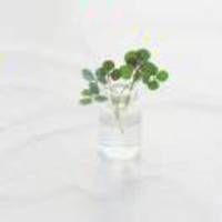 246edc3f23f42890209308697ed365f2ee32fb66