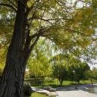 Ad5fe189fb99c82b5188188890fbcbf754d7cab9