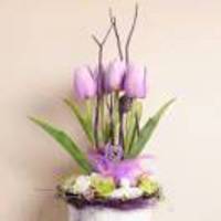 09b08749ee4343edcaef80c8d4813ab67752c8f1