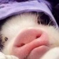 D9fdce709a5711e00c0908cc2bf91e7316e5131f