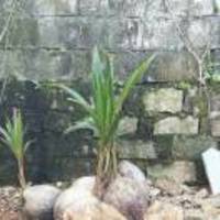 4c6240c2933bf595f0f78c9255ed2d5a8007ecf7