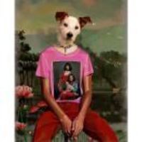 A3d3e24788190645914b9079b69ed788f04558fb