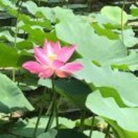 8eba528d09c523c34b1cd1bcb43a73ba868d9e2b