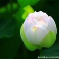 3cf0db9a0bb235095fb463680bff05ad48d73e69